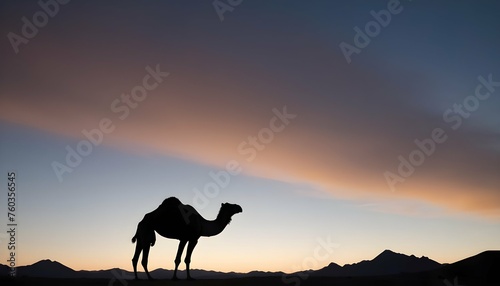 A Camels Hump Silhouetted Against The Desert Sky © Shifa