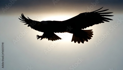 Eagle Silhouette Upscaled 66 © Shifa