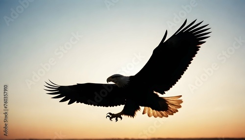 Eagle Silhouette Upscaled 113