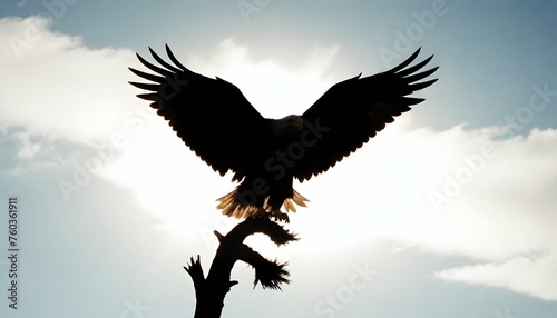 Eagle Silhouette Upscaled 6