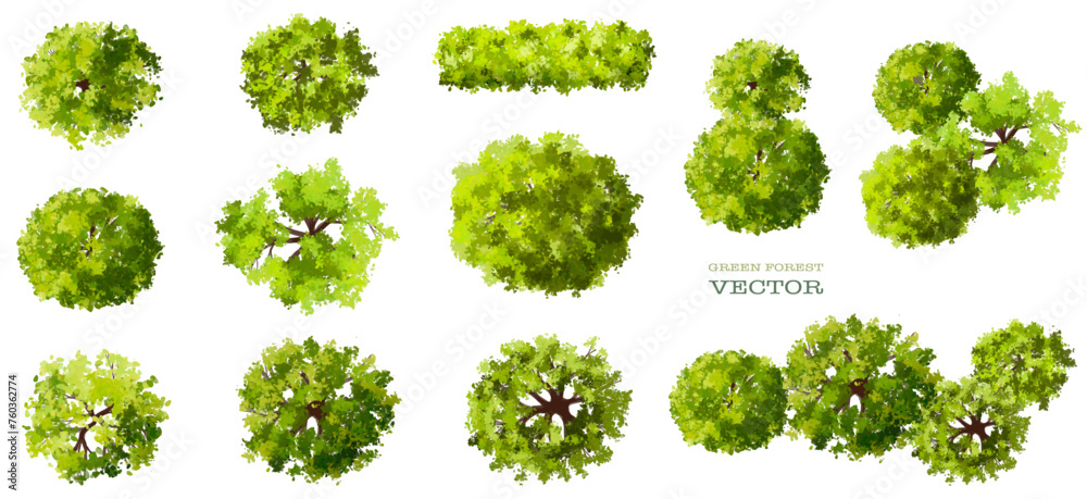 Vector watercolor green tree or forest top view isolated on white background for landscape plan and architecture drawing,plant for environment or garden,botanical element for exterior layout - obrazy, fototapety, plakaty 