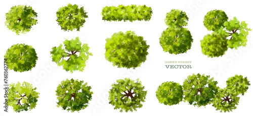 Vector watercolor green tree or forest top view isolated on white background for landscape plan and architecture drawing plant for environment or garden botanical element for exterior layout