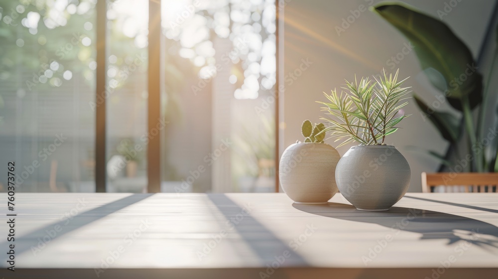 Sunny room with potted plants casting shadows, minimalist modern home. Sunny room with potted plants casting shadows, minimalist modern home.