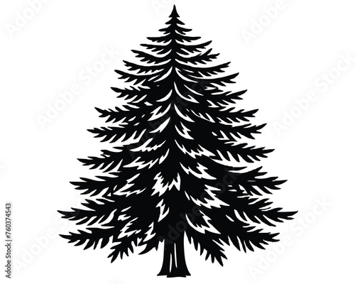 Silhouette of tall pine tree on a white background Vector illustration