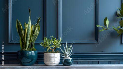 Elegant Interior Design with Soothing Blue Accent Wall Adorned with Sculptural Snake Plants and Air Plants photo