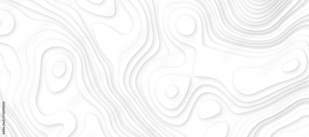 Fototapeta premium Abstract white luxury paper cut banner concept .abstract wavy line 3d paper cut white background texture .white wave paper curved reliefs background design .
