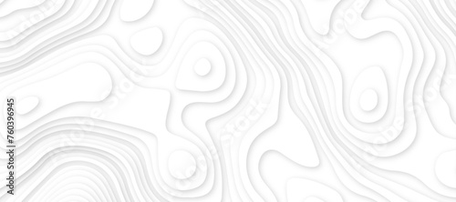 Abstract white luxury paper cut banner concept .abstract wavy line 3d paper cut white background texture .white wave paper curved reliefs background design .