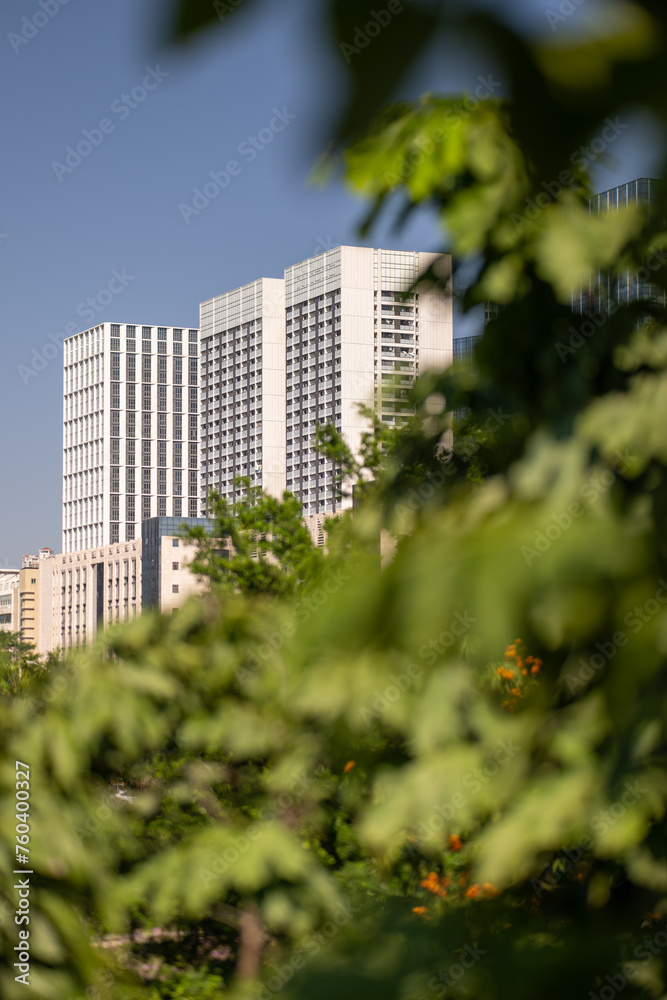 Modern high-rise building behind green leaves.