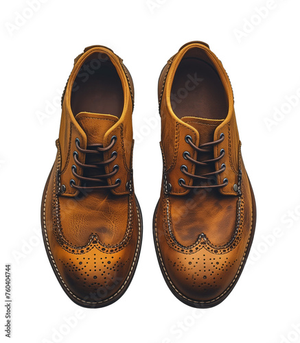 Brown leather shoes isolated
