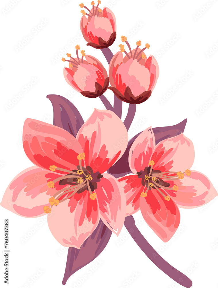 Azalea, magnolia, sakura, cherry, orchid, almond flowers, sakura branches. Flowers on transparent, png. Pink sakura. Azalea, magnolia, sakura, cherry, orchid, almond flowers, sakura branches. Flowers on transparent, png. Pink sakura.