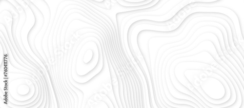 Abstract white luxury paper cut banner concept .abstract wavy line 3d paper cut white background texture .white wave paper curved reliefs background design .