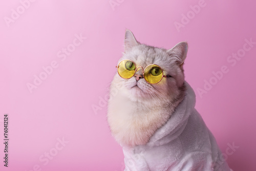 charming white cat in yellow glasses is sitting in a white bathrobe, on a pink background