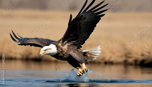 An Eagle Diving Sharply To Catch Its Prey