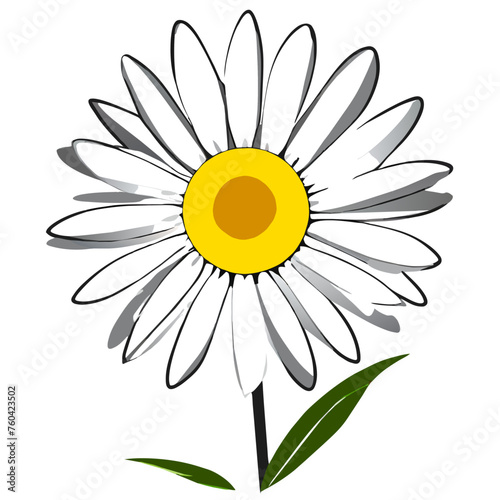 Daisy's white petals unfurl gracefully against a lush green backdrop, creating a captivating symphony of nature's beauty.