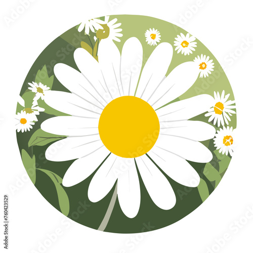 The delicate daisy blooms amidst the verdant greenery, a testament to the beauty and resilience of nature.