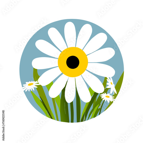 Daisy's white petals unfurl gracefully against a lush green backdrop, creating a captivating symphony of nature's beauty.
