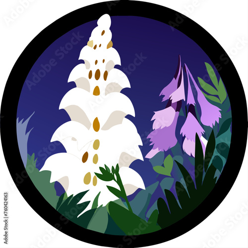 The captivating foxglove stands tall in nature's embrace, its delicate blooms adorning its towering stem.