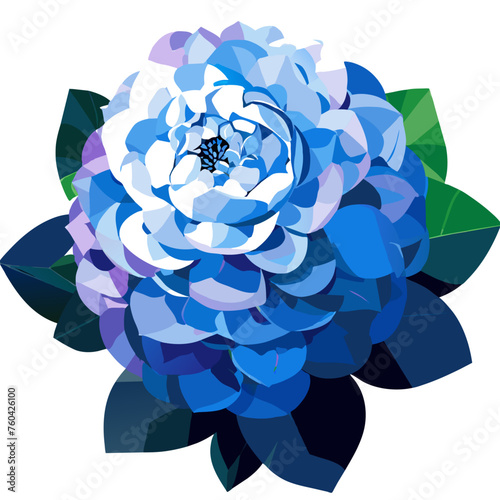 Hydrangea in nature is a beautiful, blooming flower that brings joy and beauty to any landscape.