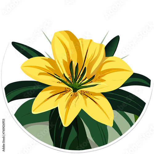 A beautiful lily blooming amidst lush greenery, exuding elegance and grace.