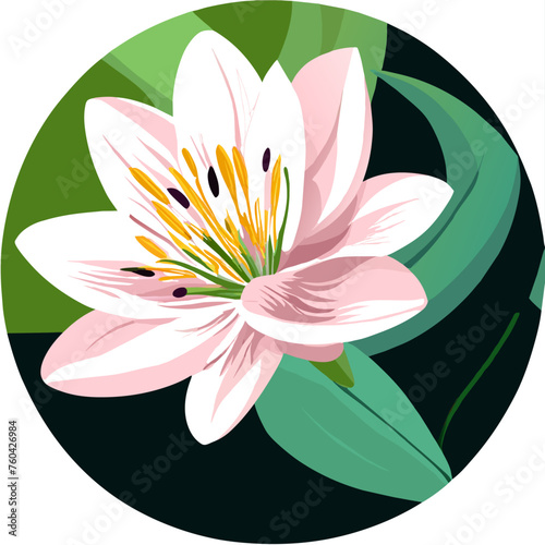 Lily blooms gracefully amidst nature's embrace.
