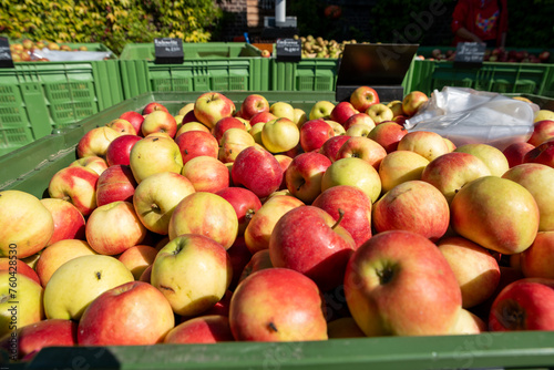 große Menge schöner Äpfel auf einem Bauernhof