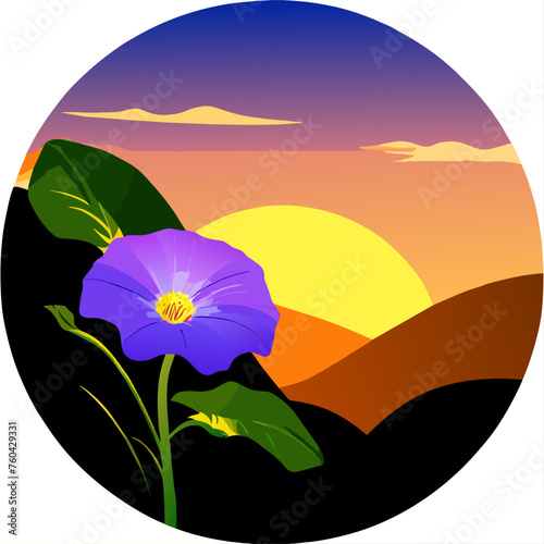 Morning glory blooms in vibrant hues, bringing a touch of nature's beauty to the morning. photo