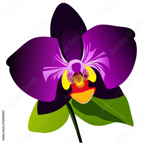 A vibrant and exotic orchid blooms amidst the lush greenery of nature.