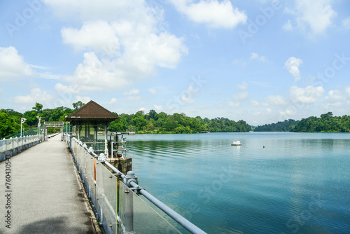 MacRitchie Reservoir Park in Singapore