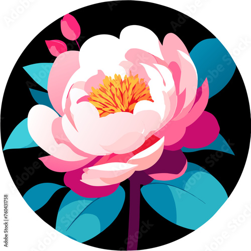 Peony in nature is a beautiful flower that can brighten up any garden.
