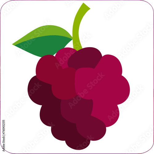 A close-up of a juicy raspberry nestled amidst lush green leaves.