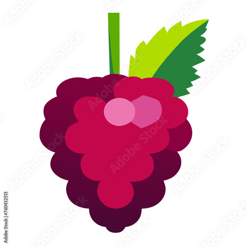 Raspberry fruit, a gift from nature's bounty, with its luscious red exterior and juicy interior.