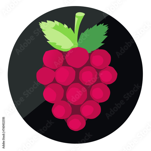 Raspberry fruit nature, a delicious and juicy berry rich in antioxidants and vitamins.