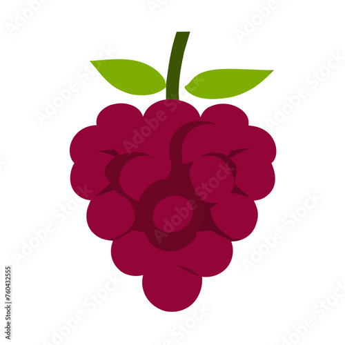 Nature's sweet delight, a vibrant raspberry, awaits your indulgence.