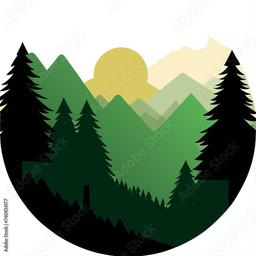 Nature's canvas painted with the vibrant hues of wood.