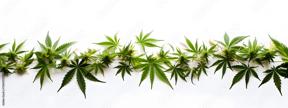 cannabis background