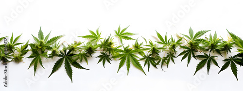 cannabis background