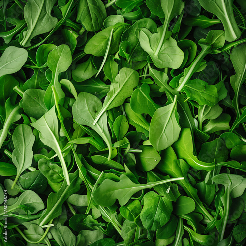 photo of green leaves of fresh arugula top view 03