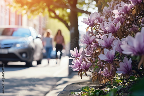 Spring flowers beside the street in the city on blurred people walking and car driving on the road. Beautiful white and purple flowers around the tree at garden in Europe. Urban street in the mornin photo