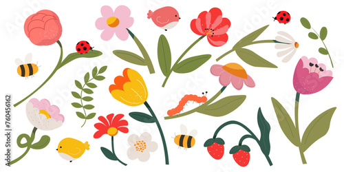 Wallpaper Mural Collection of summer flowers, design elements Torontodigital.ca