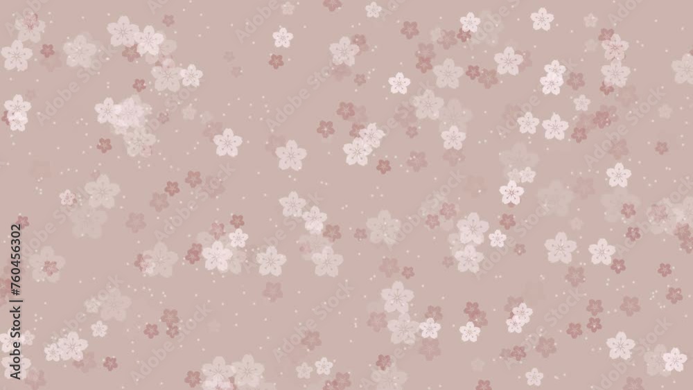 Abstract floral pattern motion background with animated bright sakura flowers cherry blossoms falling against tender beige backdrop. Elegant pastel color animation for japanese or springtime concept. Abstract floral pattern motion background with animated bright sakura flowers cherry blossoms falling against tender beige backdrop. Elegant pastel color animation for japanese or springtime concept.