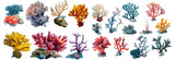 A set of coral reefs isolated on a transparent background
