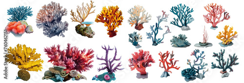 A set of coral reefs isolated on a transparent background