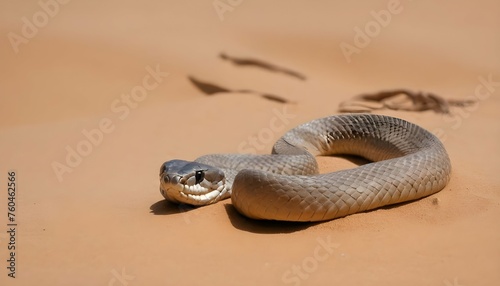 A Cobra Slithering Through A Sandy Desert