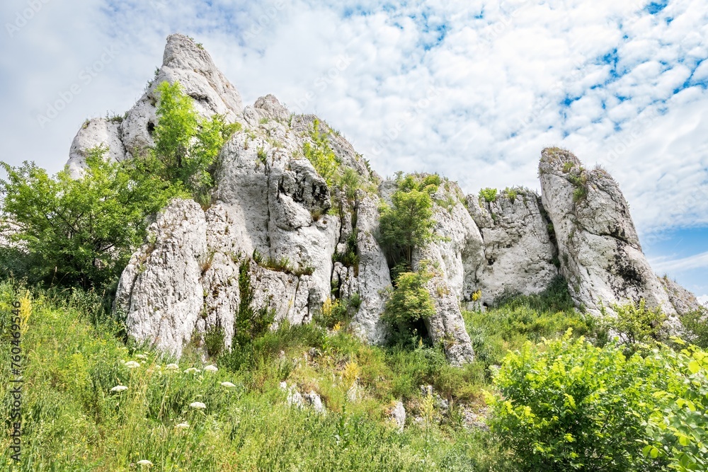 Wapienne skały, Jura Krakowsko-Częstochowska, Ogrodzieniec