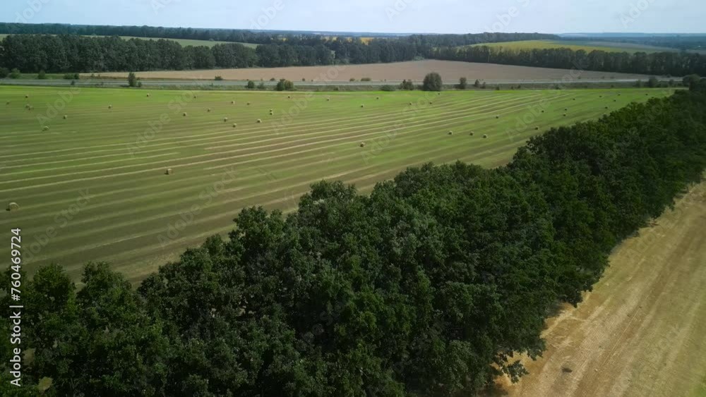 Round Hay Bales on the Green Field Round Hay Bales on the Green Field