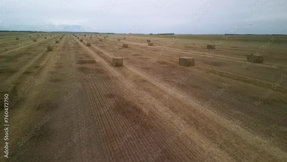 Yellow field with harvested wheat and hay bales. Aerial view of the field with square bales Yellow field with harvested wheat and hay bales. Aerial view of the field with square bales