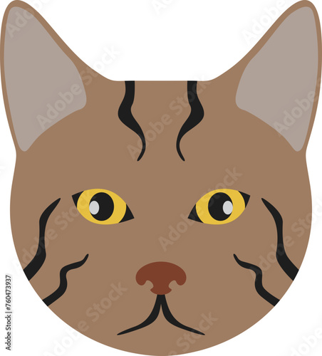 Pixie bob cat head illustration
