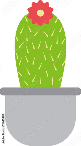 Cactus plant illustration