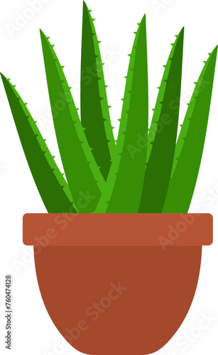 Aloe vera plant illustration