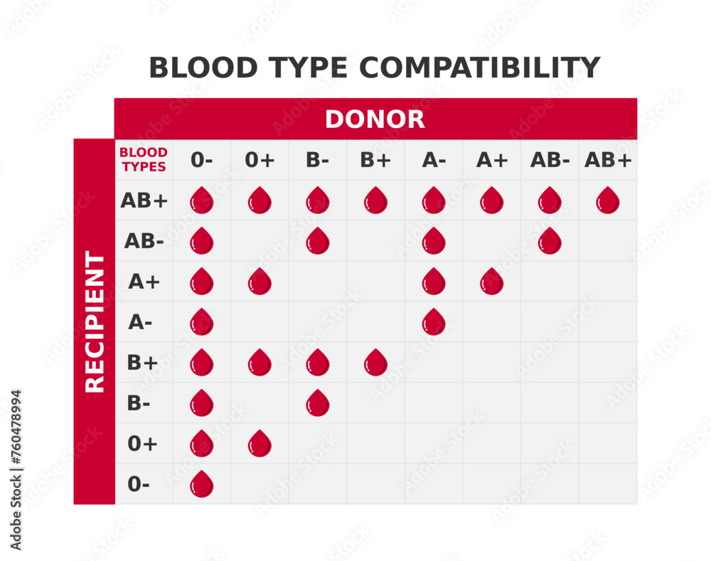 Blood Type Compatibility Chart Table With Blood Groups Crossing Possible Combinations Of